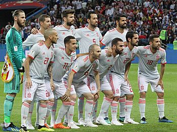 Archivo:Iran and Spain match at the FIFA World Cup (19)