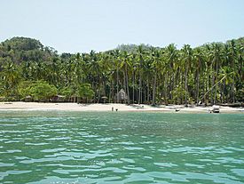 Isla Tortugas Puntarenas Costa Rica.jpg