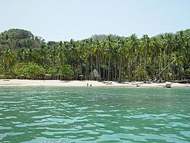 Isla Tortugas Puntarenas Costa Rica.jpg