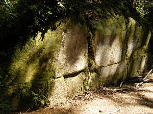 Archivo:Kaimanawa wall