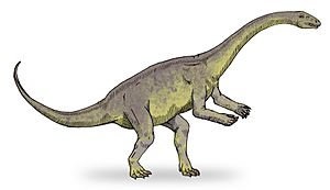 Archivo:Lufengosaurus sketch2