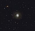 M77HunterWilson