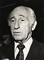 Miguel Schweitzer Speisky