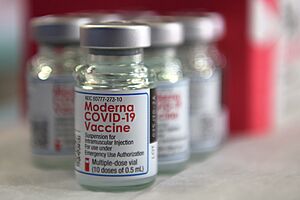 Archivo:Moderna COVID-19 vaccine