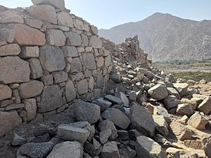 Archivo:Muralla de las "Siete Huacas"