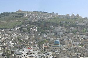 Archivo:Nablus panorama-cropped