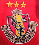 Nagoya Grampus uniform 2017.jpg
