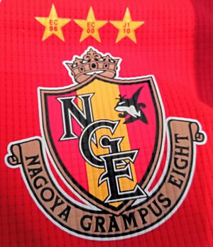 Archivo:Nagoya Grampus uniform 2017