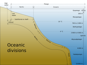 Archivo:Oceanic divisions