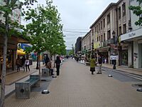 Archivo:Peatonal Talca