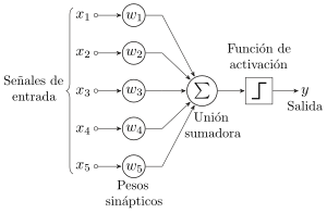 Archivo:Perceptrón 5 unidades