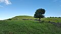 Puketaapapa