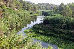 Río Albaida por el Paraje Natural de la Cova Negra - Valencia - Spain - panoramio.jpg