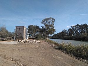 Archivo:Río Guadalete - IMG 20191110 124732 226