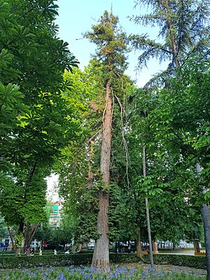 Parque Alcántara Romero para Niños