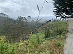 Archivo:Sendero Camino al Cielo