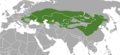Steppe Polecat area