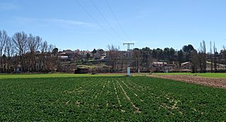 Torre del Burgo.jpg