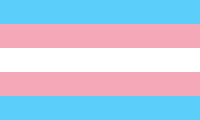 Archivo:Transgender Pride flag