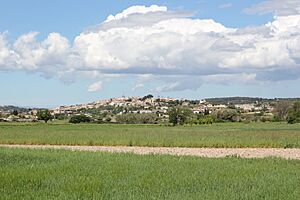 Archivo:Vista de Montuïri