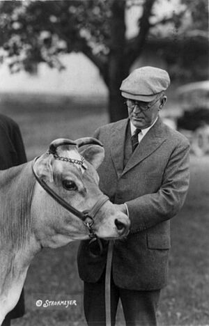 Archivo:Wallace&cow