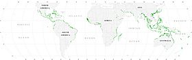 Distribución geográfica de los manglares