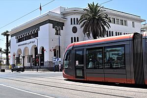 Archivo:20190814 CASABLANCA 69