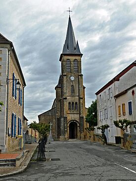64 ARZA (6).jpg