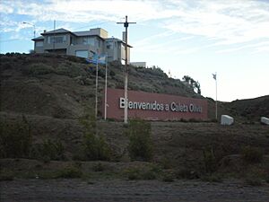 Archivo:Bienvenido a caleta!!!