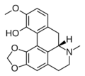 Bulbocapnine skeletal