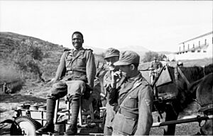 Archivo:Bundesarchiv Bild 101I-177-1465-16, Griechenland, Soldaten der "Legion Freies Arabien"