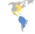 Calidris himantopus map