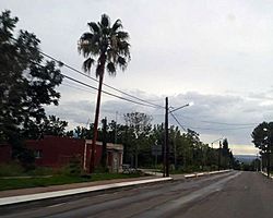 Calle en La Cruz, Chihuahua.jpg