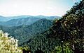 Careys Peak View