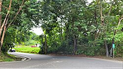 Carretera PR-824, Toa Alta, Puerto Rico (2).jpg