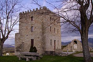 Archivo:CasteloCastrodouro