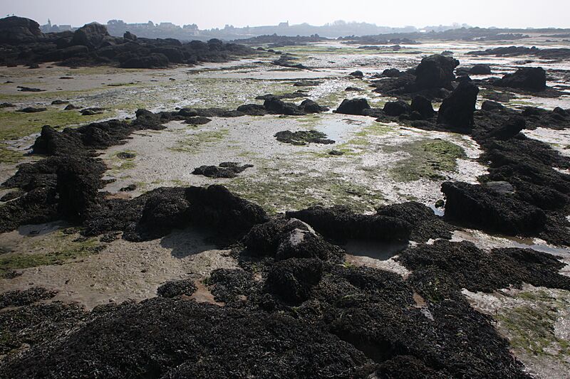 Chausey, le cromlech de l'Oeillet