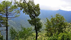 Archivo:Cola de Caballo - panoramio (2)