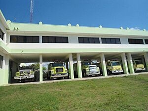 Archivo:Cuerpo de bomberos