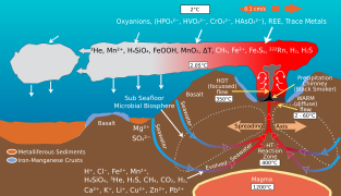 Deep Sea Vent Chemistry Diagram