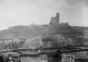 Archivo:El castell de Benavarri voltat de muralles i alguns arbres en primer terme (cropped)