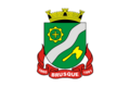 Flag of Brusque city (Santa Catarina)