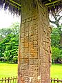 Flickr - archer10 (Dennis) - Guatemala-0612