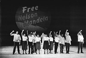 Archivo:Free Nelson Mandela Protest, Germany (crop)