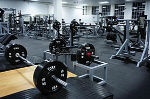 Archivo:GYM Ejemplos (3)