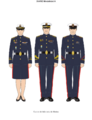 Infantería de marina diario A