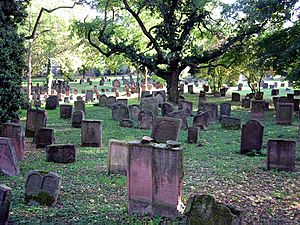 Archivo:Jewish cemetery Worms