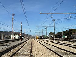 Archivo:La Encina. Estación y vías