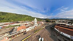 Lafria-tachira-1-q.jpg