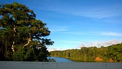 Lago de Cidra, Cidra, Puerto Rico (2).jpg